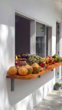 Assortment of fresh tropical fruit and young raw coconuts displayed on a wooden shelf outside a