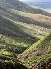 View of the green valley of Risco de Famara, Caleta de Famara, Lanzarote, Canary Islands, Spain
