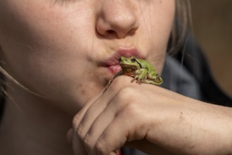 A young woman kisses a small frog Frog King Tree Frog (Hyla arborea) sitting on her hand in