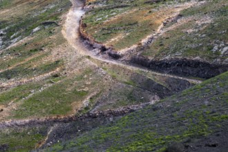 Eroded trail snakes through a hilly green landscape, Yaiza Lanzarote