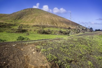 A hilly area of green vegetation under a clear sky, Yaiza Lanzarote