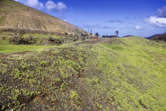 Grassy hills under a clear blue sky with scattered clouds, Yaiza Lanzarote