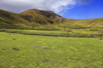 Green fields against a hilly background with blue sky and scattered clouds, Yaiza Lanzarote