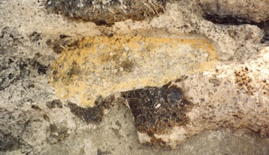 Buddha's footprint, symbolic image of Buddha, deepening in the rock, Buddhism, religion, Krabi,