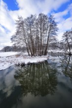 Wintery floodplain landscape along the Schmutter in the Augsburg Western Wälder nature park Park,