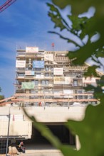 Scaffolding around a multi-storey building surrounded by plants, carpentry, new building,