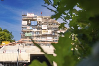 Multi-storey building under construction with scaffolding and plants in the foreground, carpentry,