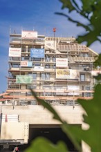 Building construction on a construction site with scaffolding, plants visible in the foreground,