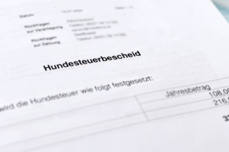 German tax notice document with the word Hundesteuerbescheid (translation: dog tax assessment