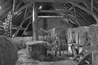 Helper in overalls forks hay in a hayloft, on a former Franconian farm, black and white, Bavaria,