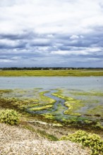 Marshes over Hurst Spit, Milford on Sea, Lymington, Hampshire, UK