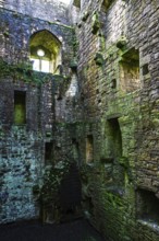 Hermitage Castle, Hermitage Water, Liddesdale, Roxburghshire, Newcastleton, Hawick, Scotland, UK