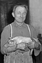 Farmer holding a piglet in a cowshed, on a former Franconian farm, black and white, Bavaria,