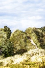 Dunes over Bamburgh Castle, Northumberland, Northeast Coast, England, UK