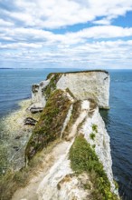 White Cliffs of Old Harry Rocks Jurassic Coast, Handfast Point, Dorset, UK