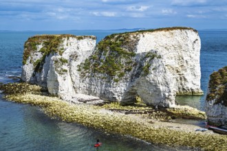 White Cliffs of Old Harry Rocks Jurassic Coast, Handfast Point, Dorset, UK