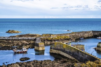 St Abbs, Eyemouth, Scottish Borders, UK