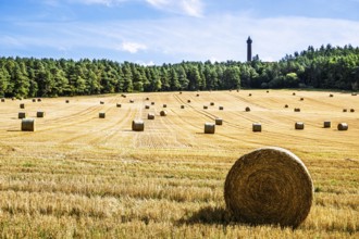 Straw bales in the Scottish fields, Southeast Scotland, UK