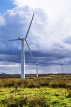 Wind Farm in southeast Scotland, UK