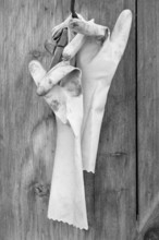 Old rubber gloves on a stable door on a former farm, black and white, Middle Franconia, Bavaria,