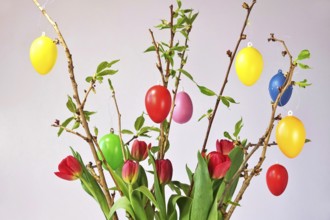 Still life with Easter eggs, Easter bouquet, Germany