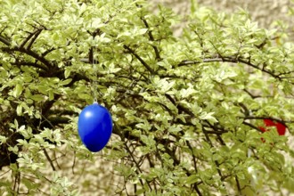 Still life with Easter eggs on a tree, Germany