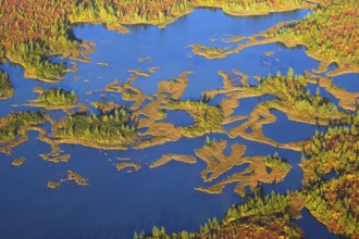 Aerial view of the taiga and lakes in autumn on the Yamal Peninsula, Yamalo-Nenets Autonomous