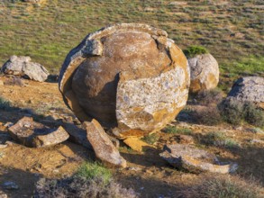 The large spherolites (concretions) at Torysh, with over 500–600 spheres of various sizes covering