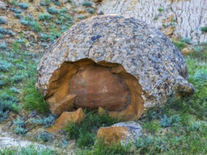 The large spherolites (concretions) at Torysh, with over 500–600 spheres of various sizes covering
