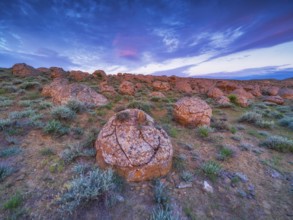 The large spherolites (concretions) at Torysh, with over 500–600 spheres of various sizes covering