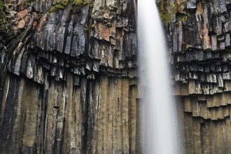Basalt columns at Svartifoss waterfall, located in the Skaftafell, Vatnajökull National Park,