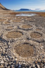 Natural geological formations shaped by cryoturbation (frost churning) in the Arctic desert,
