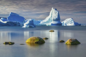 Icebergs floating in the bay near Ataa Village, Disko Bay, Arctic, Greenland, geographically part