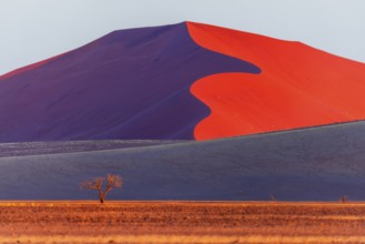 Sand dune, Soussusvlei, Namib desert, Namibia