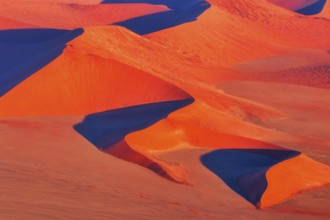 Aerial view sand dunes, Soussusvlei, Namib desert, Namibia