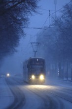 Public transport in winter, tram, snowfall, Germany