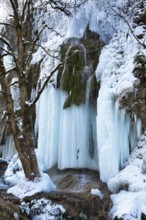 Schleierfälle an der Ammer in winter, frozen waterfall, Upper Bavaria, Germany