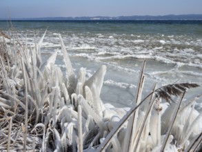 Eis am Starnberger See near Bernried, pancake ice cream, Fünfseenland, Upper Bavaria, Germany