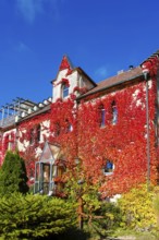 Restaurant Altes Forsthaus near Lichtenstein Castle, restaurant, dining restaurant, historic