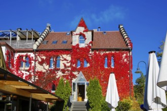 Restaurant Altes Forsthaus near Lichtenstein Castle, restaurant, restaurant, historic building,