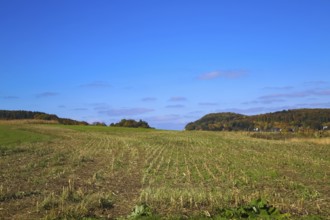 Field, harvested field, agricultural land, green areas, mountains, view of hills, blue sky, alpine