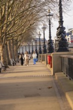 People walking along a tree-lined walkway with street lights, London, England, United Kingdom