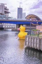 A big yellow rubber duck swims in water near a bridge in the city, London, England, Great Britain