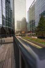 Modern, tall buildings with glass facades in an urban environment with trees, London, England,