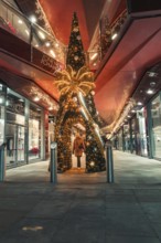 Large Christmas tree in urban setting with festive lights at night, London, England, Great Britain