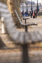 Blurred bench in an urban avenue with an autumn atmosphere, London, England, Great Britain