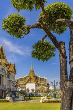 The Grand Royal Palace, trees with spherical branches, in the back the Chakri Maha Prasad throne