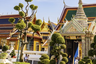 The Grand Royal Palace, trees with spherical branches, Dusida Bhirom Hall in the back, Phra Nakhon,