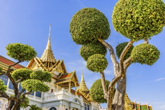 The Grand Royal Palace, trees with spherical branches, in the back the Chakri Maha Prasad throne