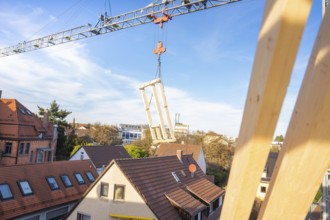 Construction crane transports timber elements over roofs on a construction site, carpentry,
